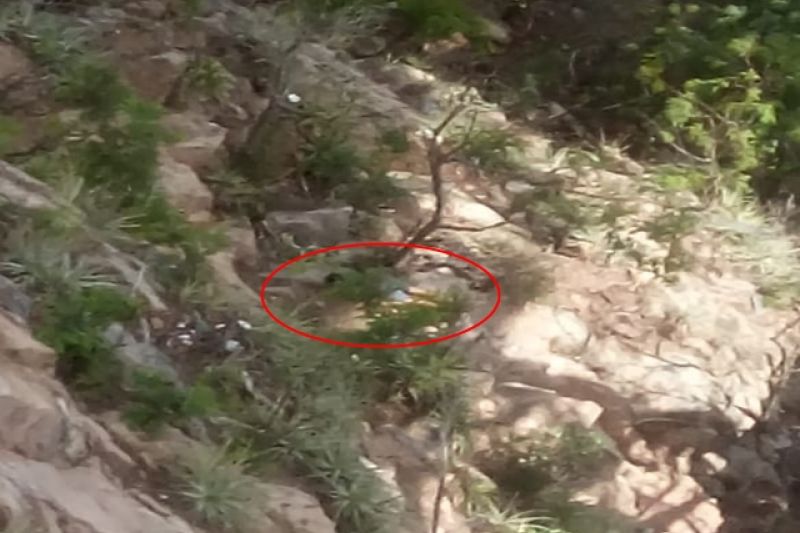 Corpo é encontrado abaixo da ponte metálica, na divisa dos estados de Alagoas e Bahia