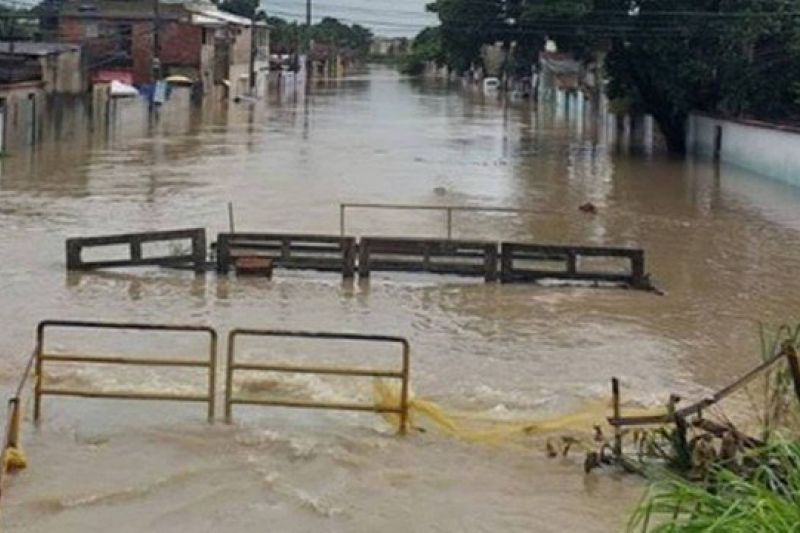 Chuva derruba muro e jacarés fogem por alagamento na Favela do Rola, no Rio de Janeiro