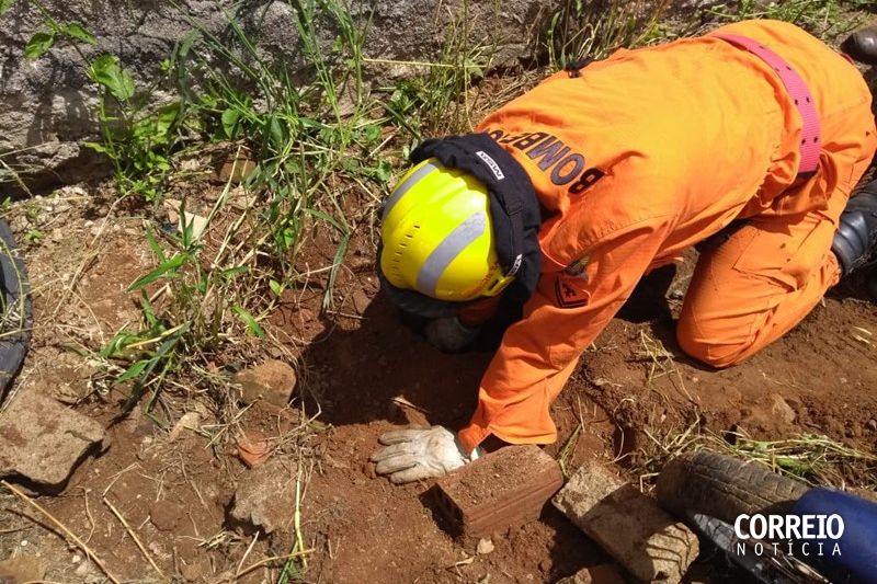 Bombeiros são acionados para resgatar cachorros em Ouro Branco e Santana do Ipanema