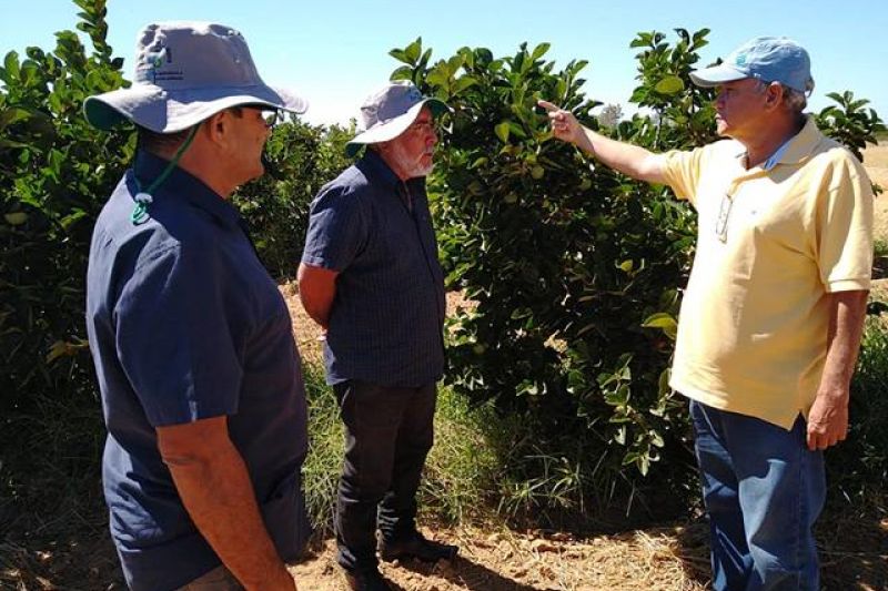 Prefeitura de Delmiro Gouveia firma parceria inédita com a Embrapa