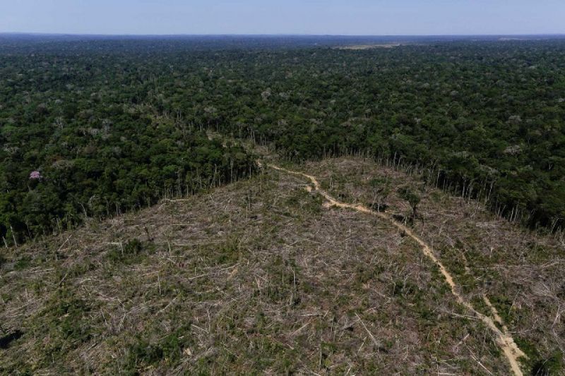 Desmatamento na Amazônia aumenta 88% em junho, aponta Inpe