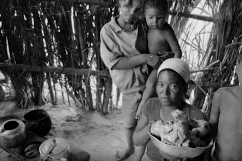 Em média, 15 pessoas morrem de desnutrição por dia no Brasil