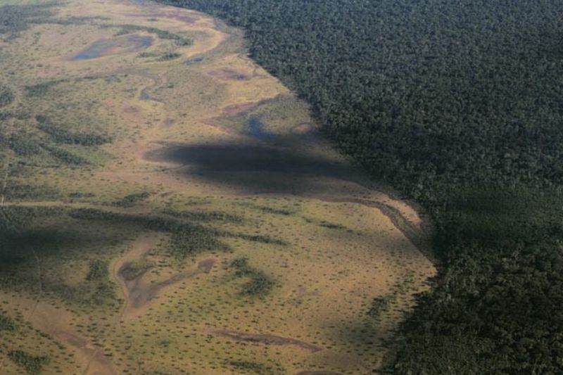 Desmatamento dispara no Xingu, um dos últimos 'escudos' da Amazônia