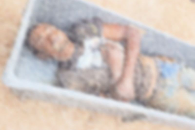 Homem tenta pegar água para animais e morre ao cair dentro de poço em Dois Riachos