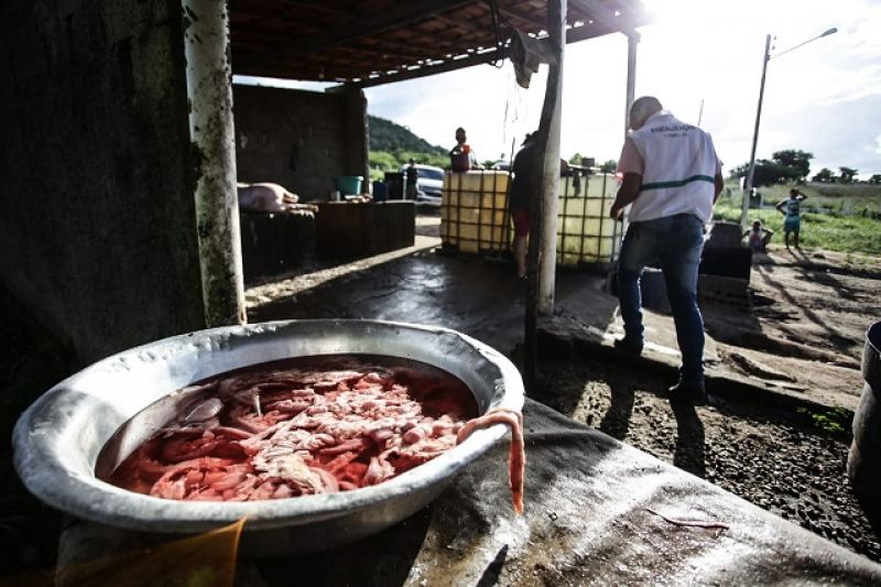 FPI interdita abatedouro clandestino que funcionava como pocilga em Olho D'água das Flores