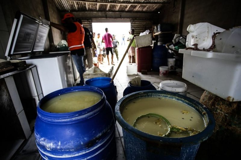 FPI flagra e interdita em Batalha queijaria que colocava em risco a saúde da população