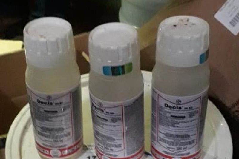 FPI do São Francisco autua loja por comércio irregular de agrotóxicos em Batalha
