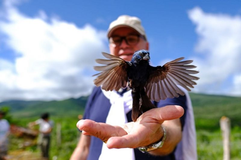 FPI do São Francisco realiza soltura de 235 animais silvestres da Caatinga