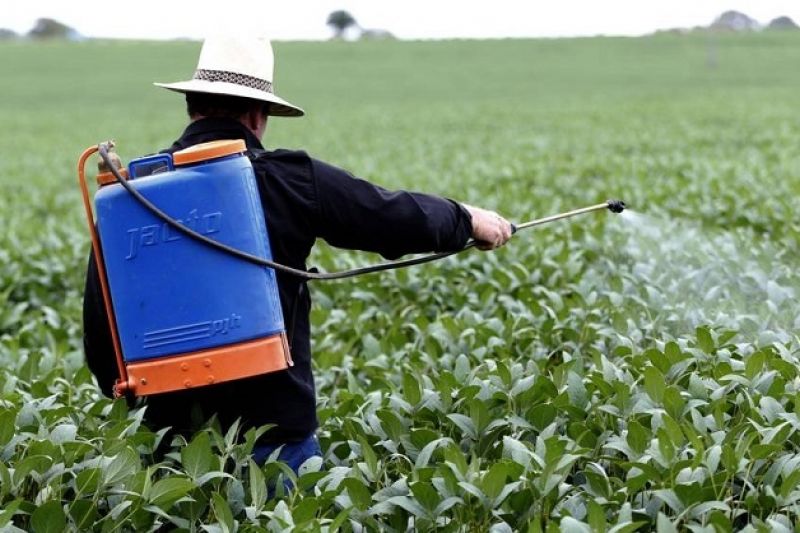 Após governo Bolsonaro autorizar 262 novos agrotóxicos, Anvisa vai reavaliar substâncias