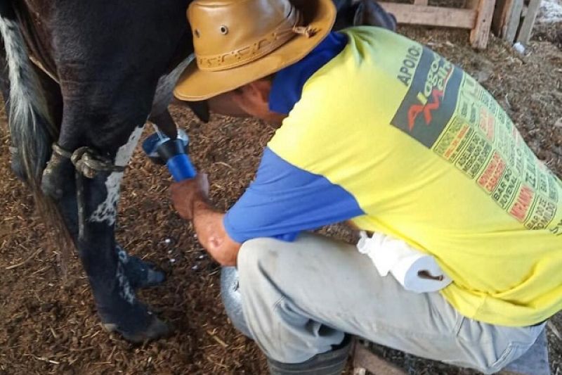CPLA estimula o fortalecimento da agricultura familiar em Alagoas