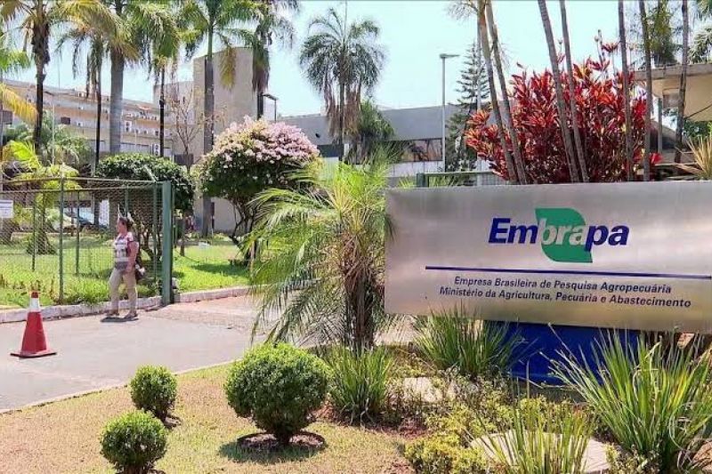 Governo propõe corte de 45% no orçamento da Embrapa para 2020 e pesquisas correm riscos