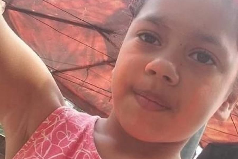 Menina é picada por escorpião e morre em SP; avó passa mal e falece ao tomar conhecimento