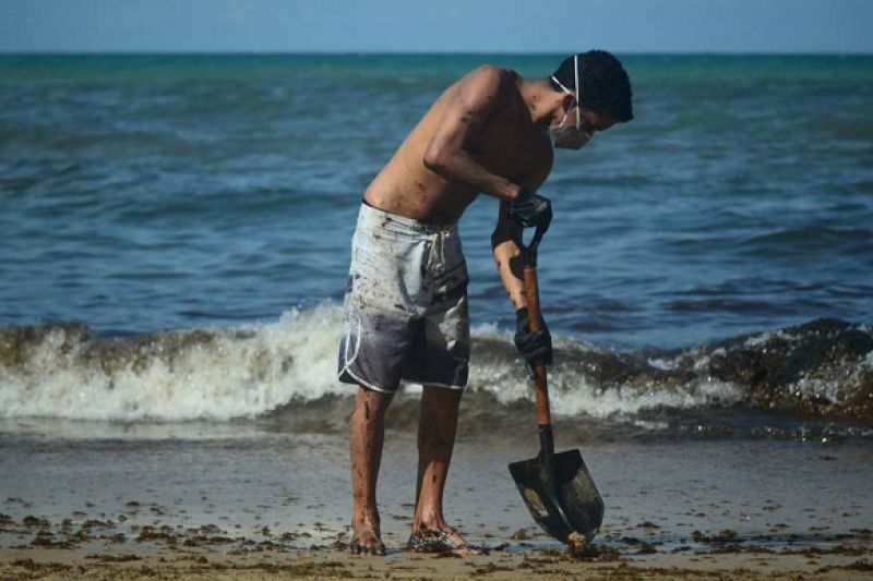 “Contaminação por óleo no NE deixará sequelas no ecossistema marinho, na saúde e economia