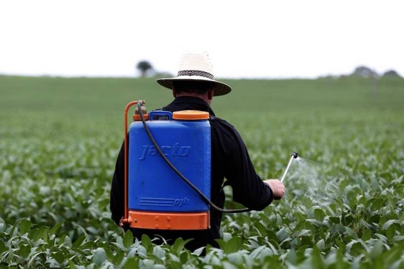 Ladrões encapuzados invadem fazenda e roubam mais de R$ 200 mil em agrotóxico