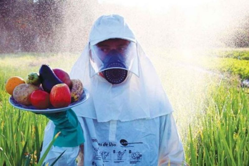 Governo Bolsonaro autoriza 57 novos agrotóxicos e total já chega a 439 em 2019