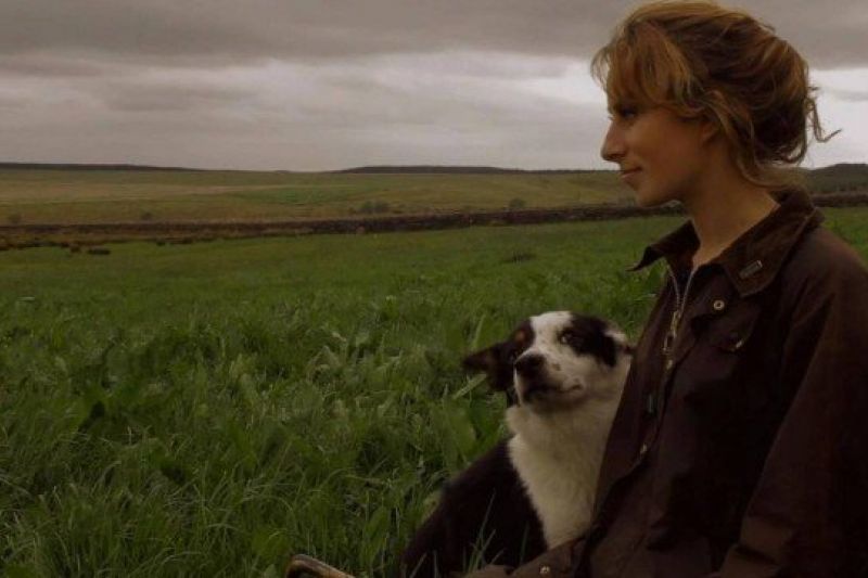 Cadela é leiloada por R$ 107 mil e se torna a border collie mais cara do mundo