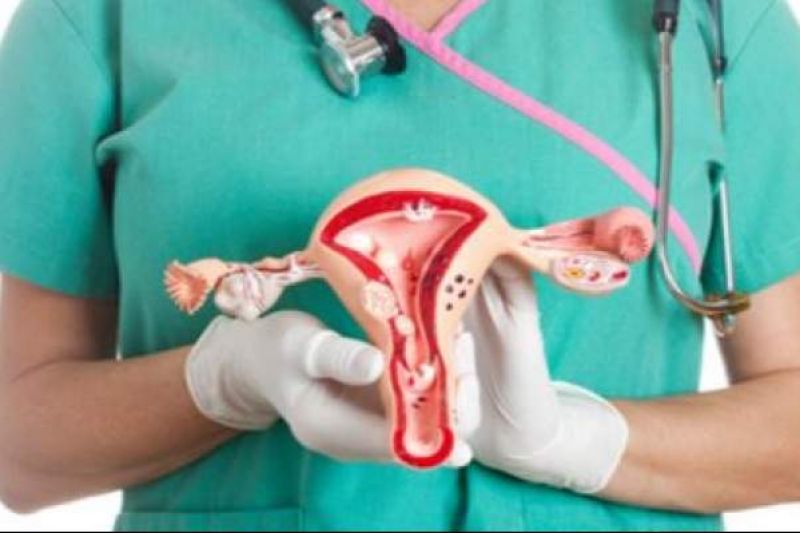 Câncer de colo de útero é o terceiro mais frequente entre as mulheres