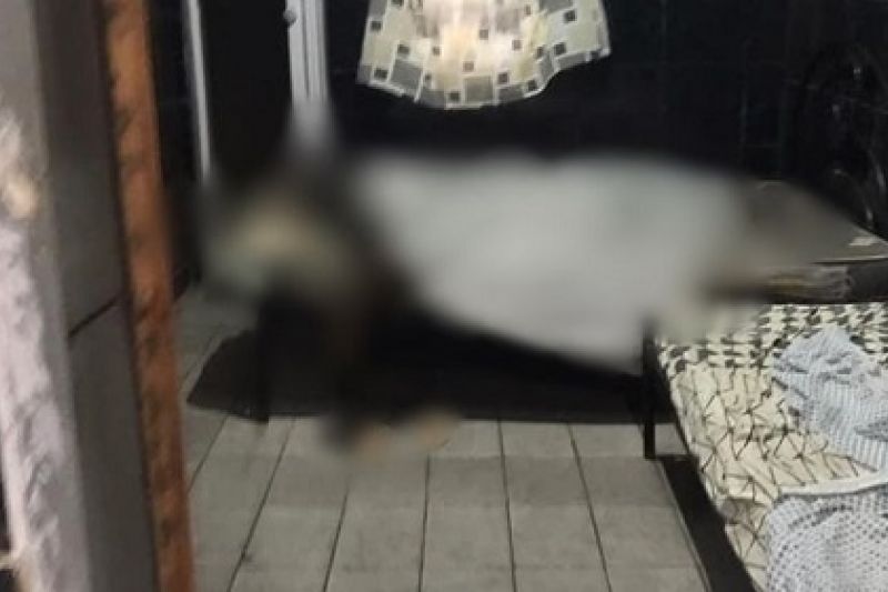 Funcionário encontra corpo de mulher em decomposição em quarto de pousada de Delmiro