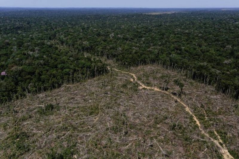 Alertas de desmatamento na Amazônia crescem 29,9% em março, mostram dados do Inpe