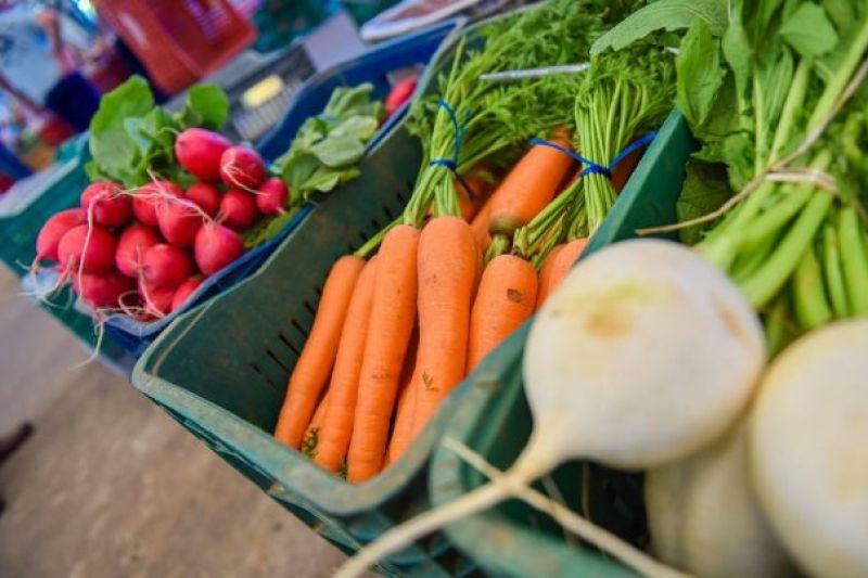 MST doa 12 toneladas de alimentos a famílias carentes em Maceió e Santana do Ipanema