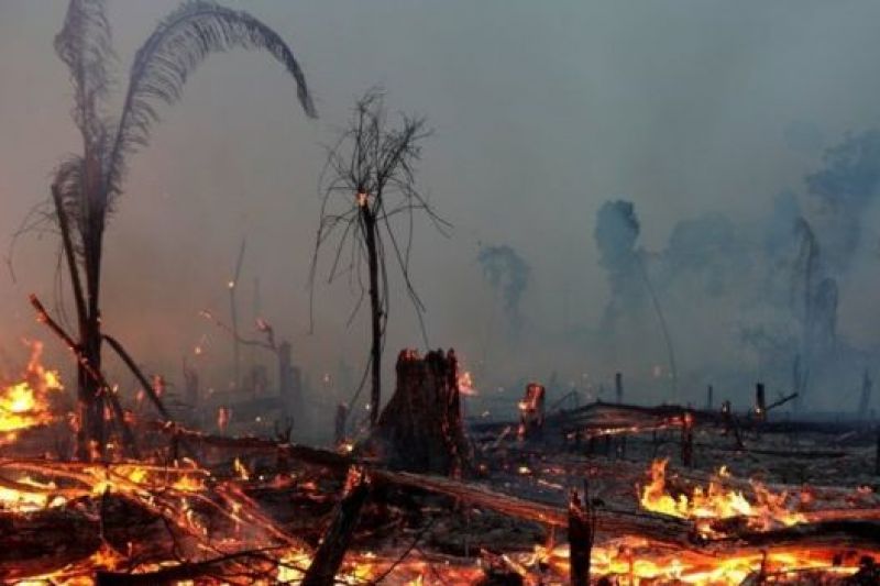 Como a 'MP da grilagem' pode mudar o mapa de regiões da Amazônia