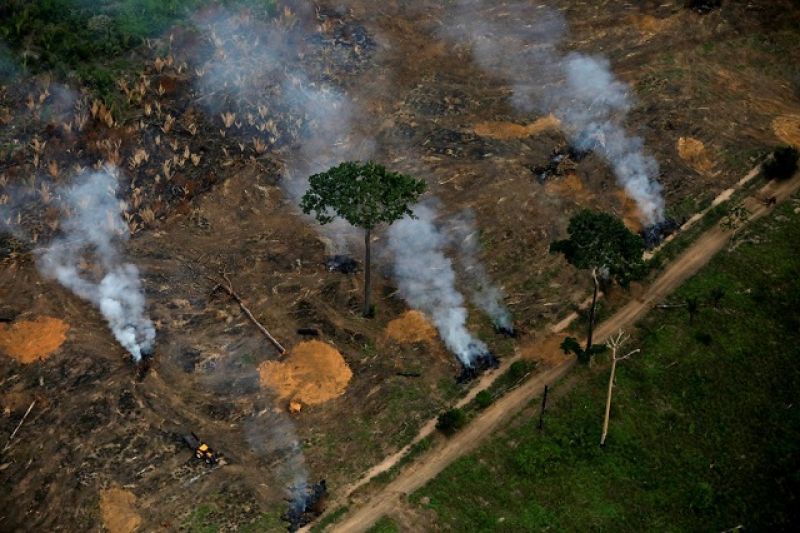 Desmatamento da Amazônia cresce 34,4% no final do governo Temer e começo de Bolsonaro