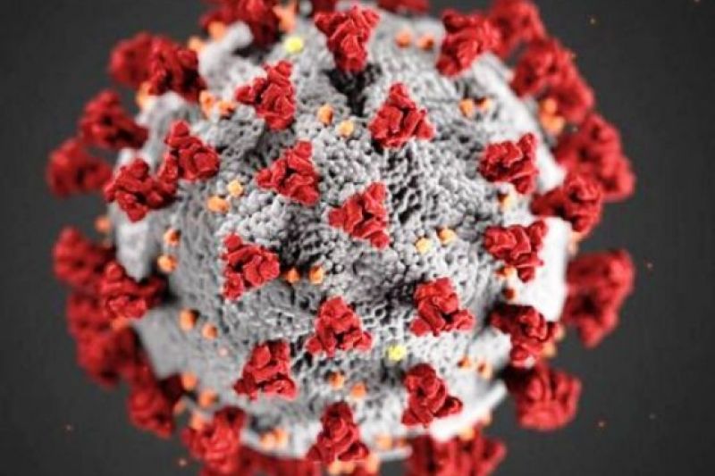 Alagoas tem 46 mil casos de Covid-19: 1.297 mortes, 6 mil doentes e quase 39 mil curados