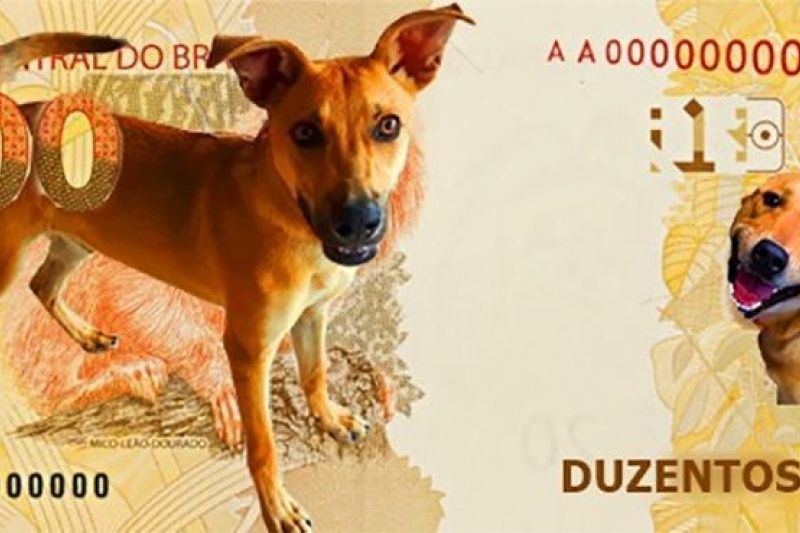 Nota de R$ 200: Banco Central estuda moeda especial com vira-lata caramelo