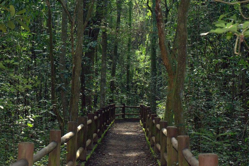 Bolsonaro autoriza privatização dos parques nacionais de Brasília e de Santa Catarina