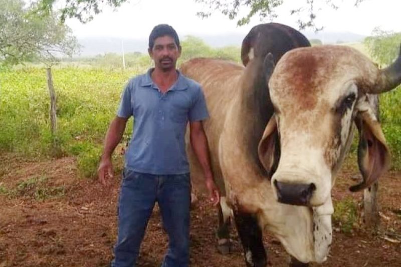 Homem desaparece enquanto trabalhava em fazenda entre Delmiro e Olho D’água do Casado
