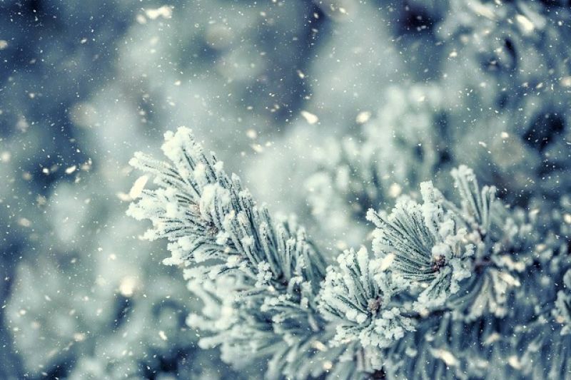 Meteorologistas alertam para chegada de massa polar com 'potencial histórico e de neve'