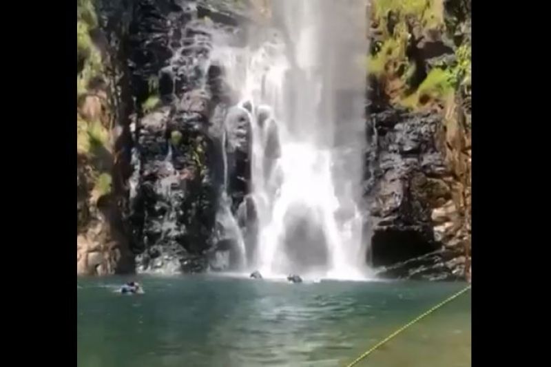 Médica picada por cobra durante banho em cachoeira tem 70% das vias aéreas comprometidas