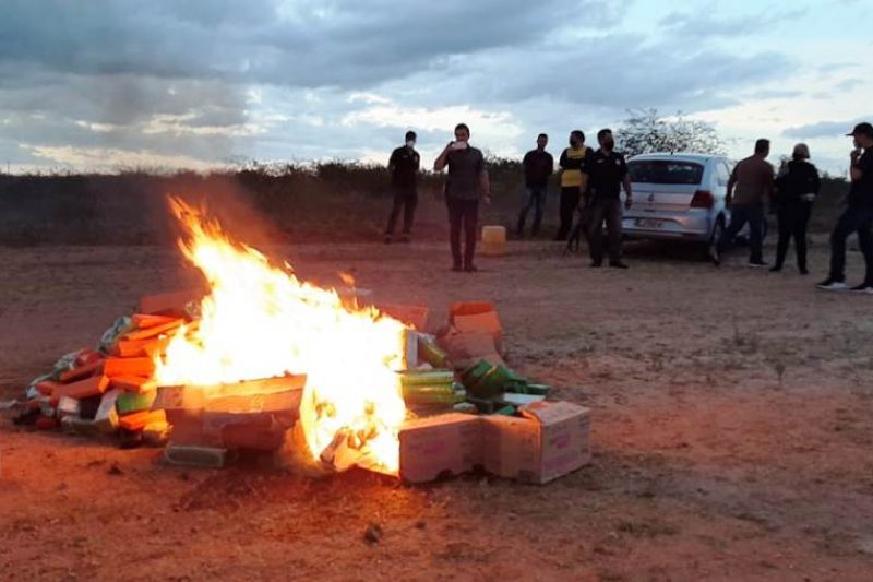 Maior apreensão de maconha do ano em Alagoas é incinerada em Delmiro Gouveia