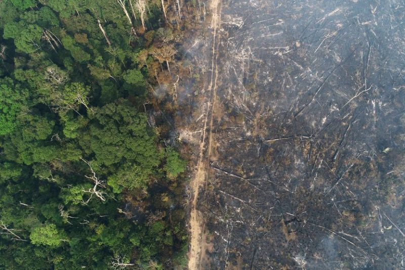 Amazônia tem aumento de 68% nos alertas de desmatamento em agosto, diz Imazon