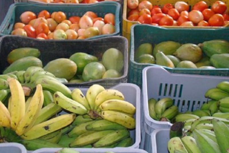 Lançamento do PAA 2020 em Alagoas será nesta sexta-feira (02)