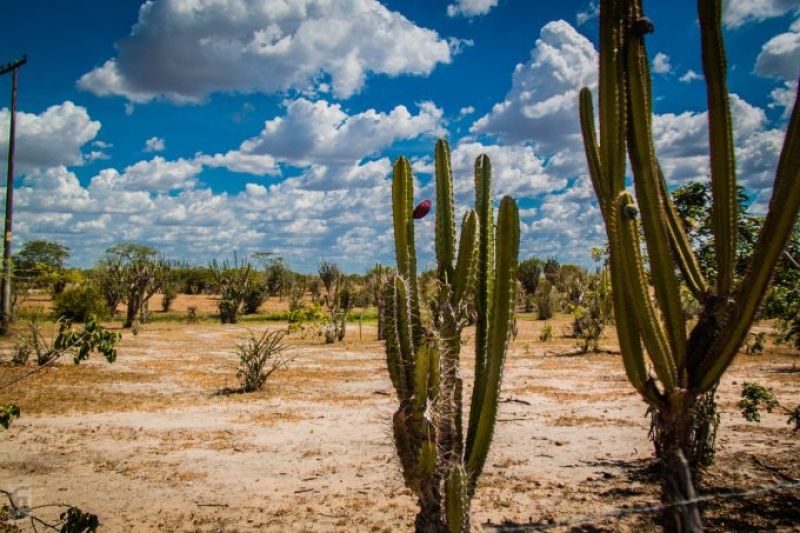 Game que tem o Sertão como cenário é subsidiado com recursos da Fapeal