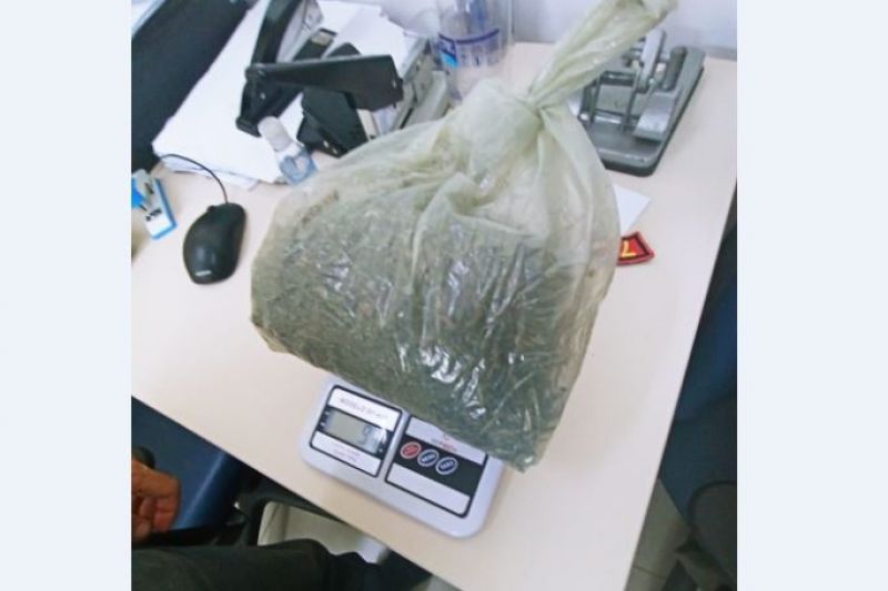 Homem que cultivava maconha no quintal de casa é detido em Palestina e levado para Batalha