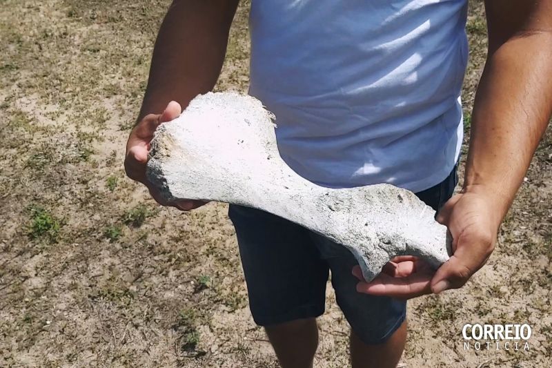 Sítios paleontológicos atraem especialistas e turistas para Inhapi