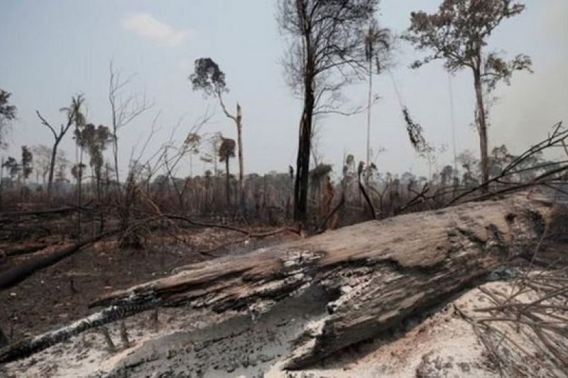 Número de alertas de desmatamento na Amazônia é 2º pior em 5 anos, apontam dados do Inpe