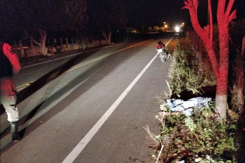 Motociclista morre após perder controle de moto e colidir com árvore na AL-125 em Olivença