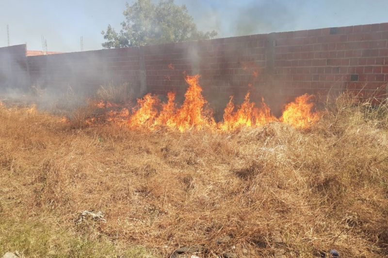 Bombeiros são acionados para controlar incêndio em vegetação próximo a lagoa em Pariconha