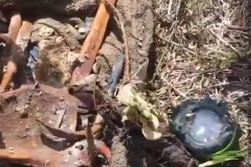 Populares encontram cadáver em povoado de Pão de Açúcar