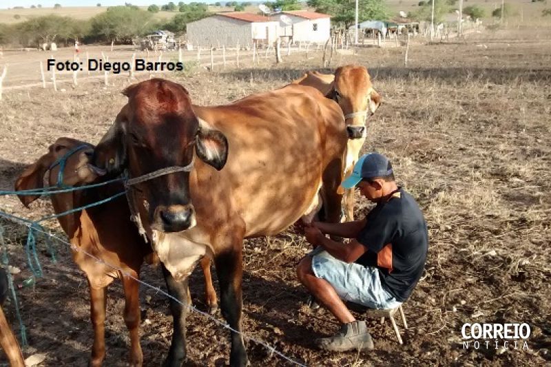 Negócios agrícolas do Sertão afetados pela pandemia podem receber assistência tecnológica