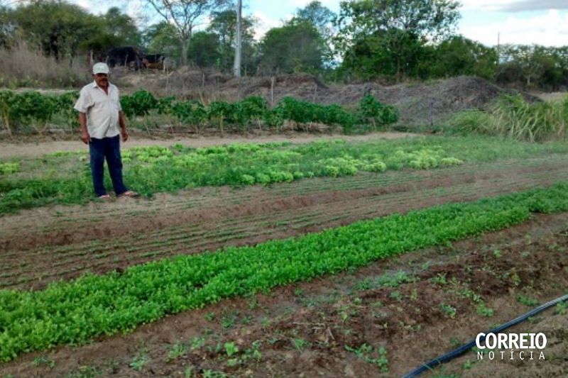 Emater e FAPEAL lançam seleção pública com 20 vagas para bolsistas