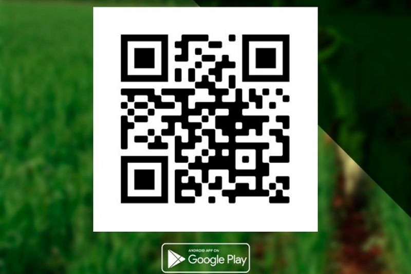 Emater lança aplicativo para facilitar a comunicação com o agricultor