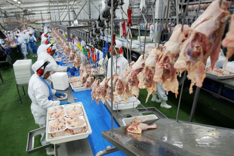 Ovo, frango e carne suína devem ter aumento de até 50%, diz associação