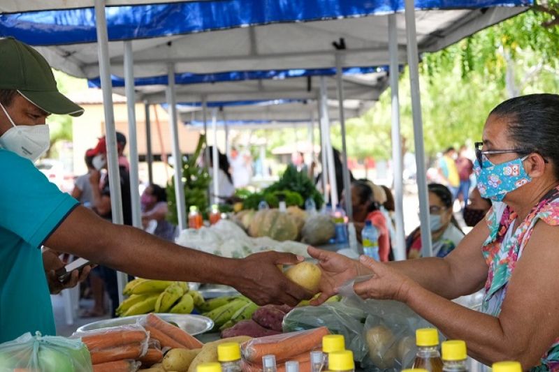 Com investimentos que ultrapassam R$ 3 mi, Emater já distribuiu mais de 900t de alimentos