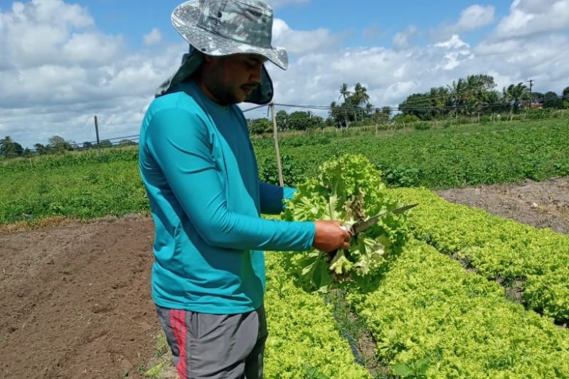 Emater já distribuiu 2,7 mil toneladas de alimentos no Agreste por meio do PAA