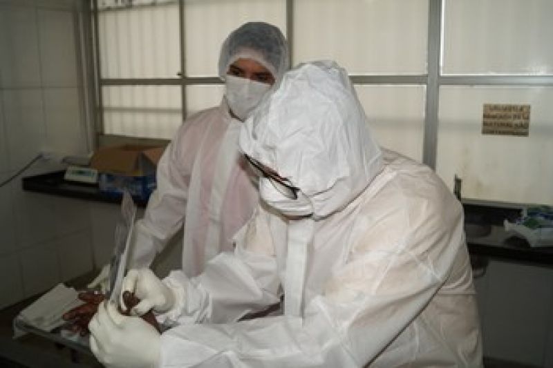 Identificado corpo da jovem decapitada na grande Maceió. Um dos assassinos já está preso