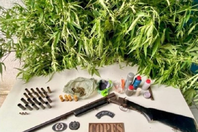Polícia prende homem flagrado com arma, munições e plantação de maconha em Piranhas